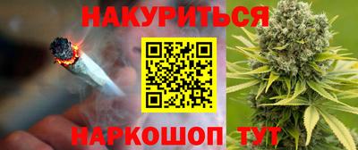 СК Бийск
