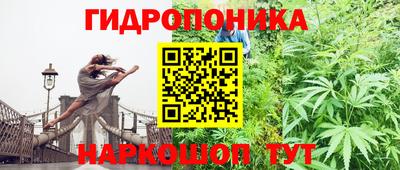 спайс Беслан