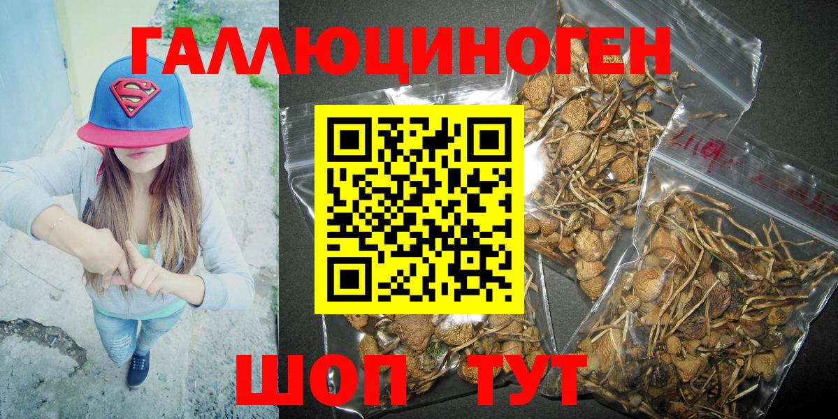 Галлюциногенные грибы мухоморы Киров