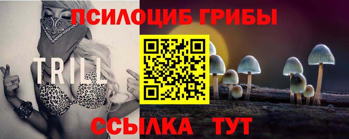 Киров  Псилоцибиновые грибы Psilocybine cubensis  Вход с VPN 